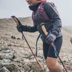 Black Diamond Pursuit FLZ Trekking Poles (Pair) -Outdoor Research Store BDPursuitFLZPoles17