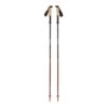 Black Diamond Pursuit FLZ Trekking Poles (Pair)