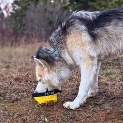 CTUG Ultra Dog Bowl -Outdoor Research Store CTUG Ultra Dog Bowl Lifestyle 3