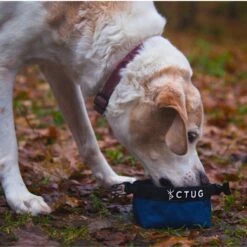 CTUG Ultra Dog Bowl -Outdoor Research Store CTUG Ultra Dog Bowl Lifestyle 5