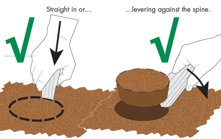 TheTentLab The Deuce #2 Ultralight Backpacking Trowel 7 TheTentLab The Deuce #2 Ultralight Backpacking Trowel - Image 7